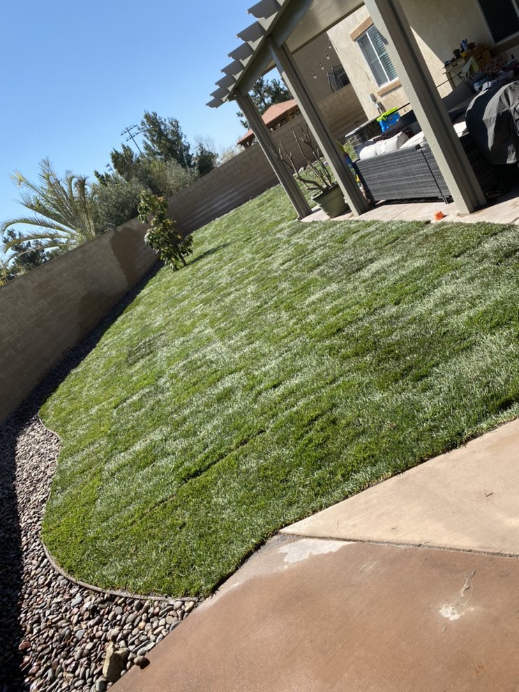 Tree trimming project by Juan's Gardening Service